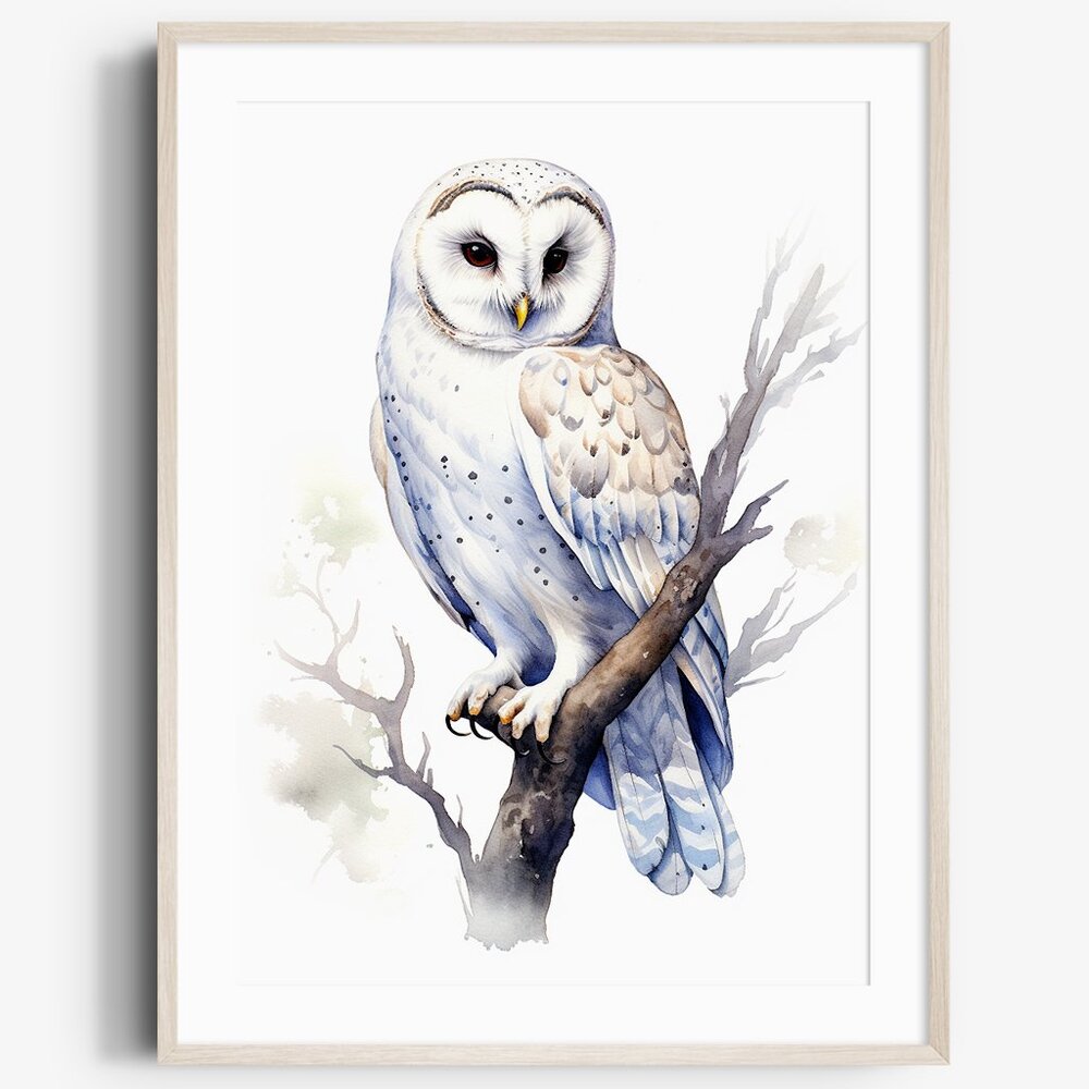 Watercolor White Owl Portrait Wall Art Illustration Print Poster Unframed